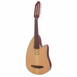 Miscellaneous Stringed Instruments