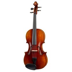 Akustische Violen / Bratschen