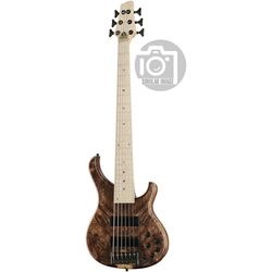 Miscellaneous 6-String Basses