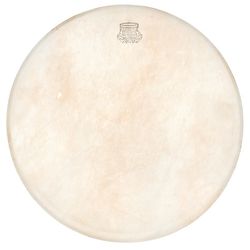 14" Snare Drum Heads