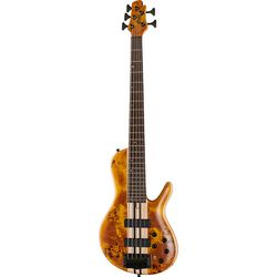 Miscellaneous 5-String Basses