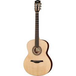 Otras guitarras acústicas