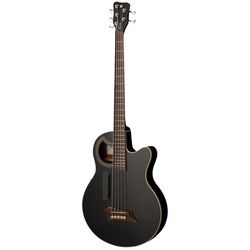 Basses Acoustiques / Semi-Acoustiques