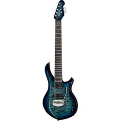 Signature elguitarer