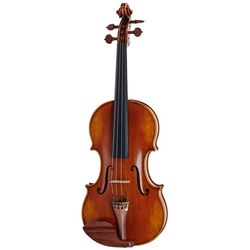 Violini e Viole