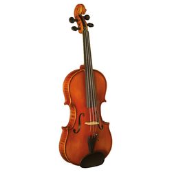 Violines y violas acústicas