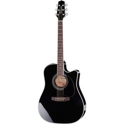 Signature Acoustic Guitars