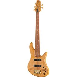 Miscellaneous 5-String Basses