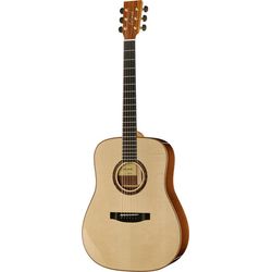 Dreadnought Acoustic Guitars