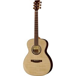 Miscellaneous Acoustic Guitars