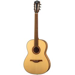 Miscellaneous Acoustic Guitars