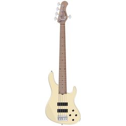 Miscellaneous 5-String Basses