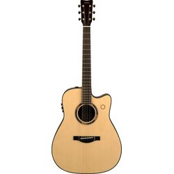 Acoustic Guitars