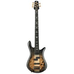 Miscellaneous 5-String Basses