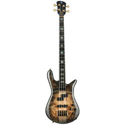 Miscellaneous 4-String Basses