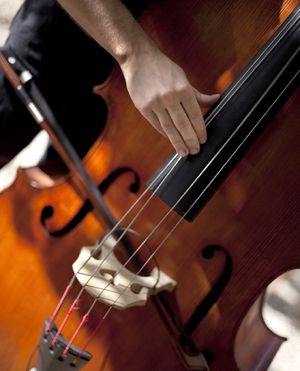 Double Basses Double Basses