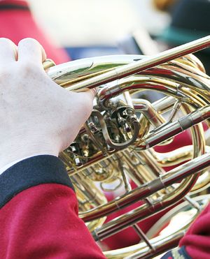French Horns French Horns