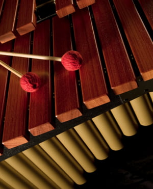 Orchestral Percussion Orchestral Percussion