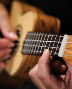 Ukulele Ukulele