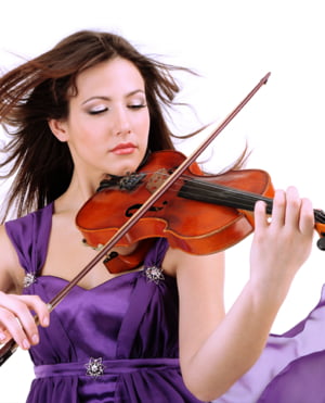 Violas Violas
