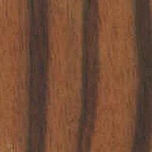 Macaasar Ebenholz