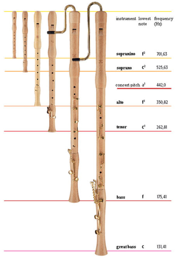 Flute Vs Recorder: A Guide to the Differences