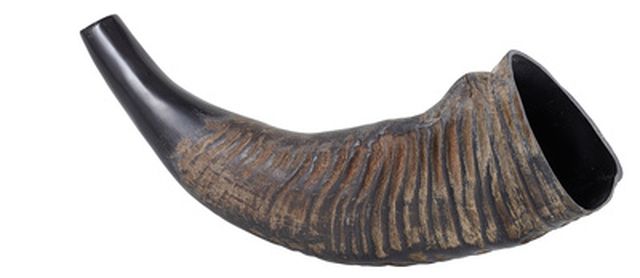 Thomann Water Buffalo Horn