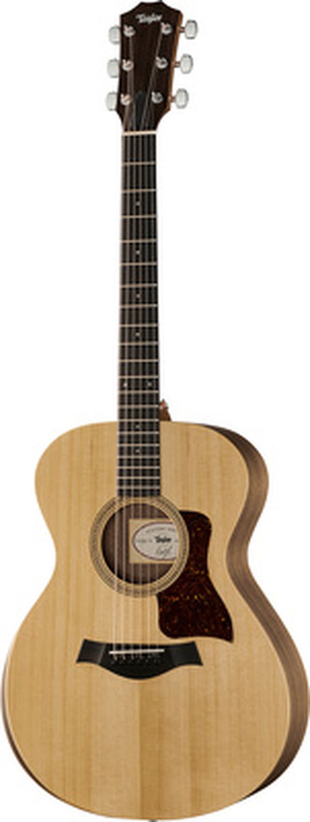 Taylor Academy Series 12e Walnut/Spr