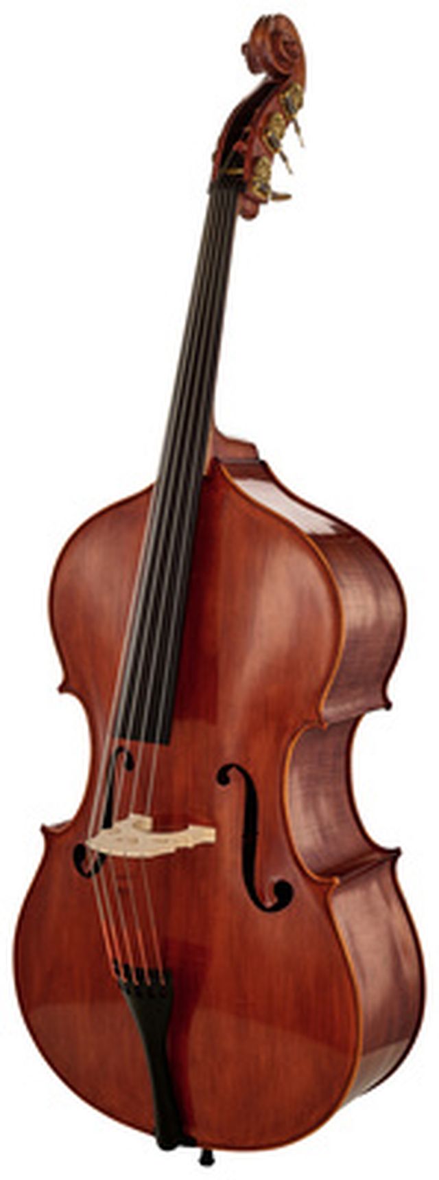 Scala Vilagio Double Bass Panormo 5-Str. IB