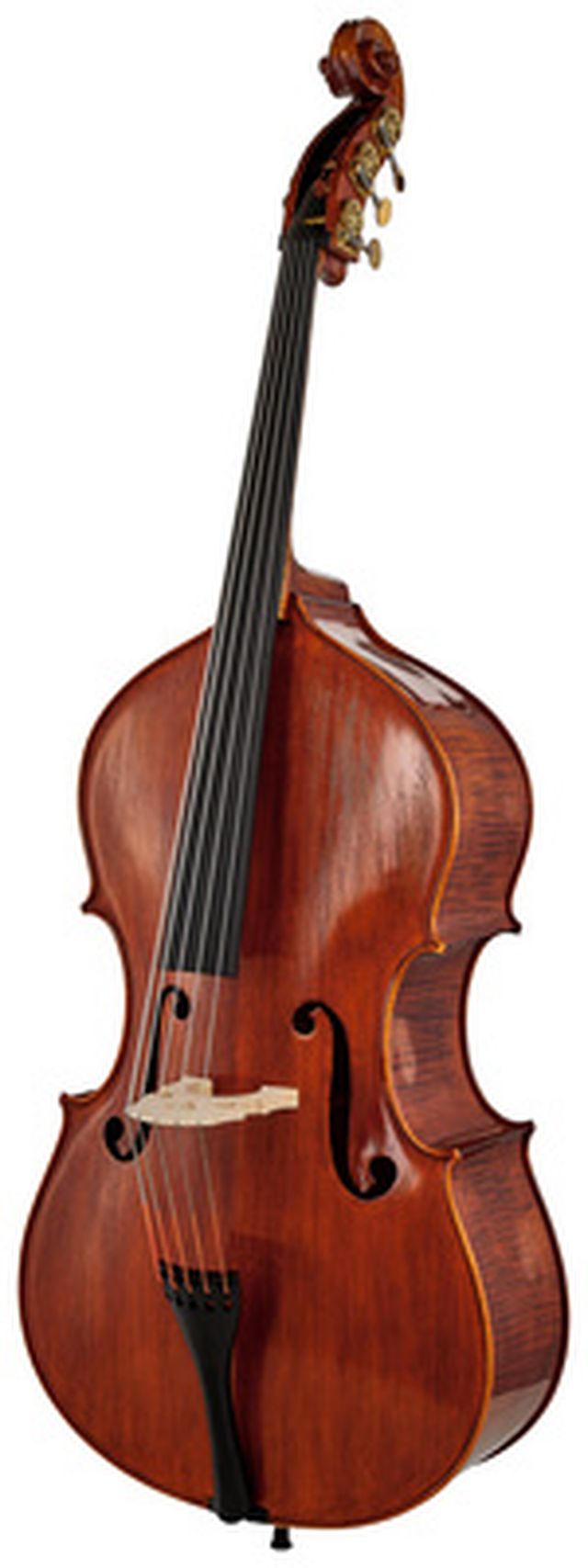 Scala Vilagio Double Bass Rogeri 5-Str. IB