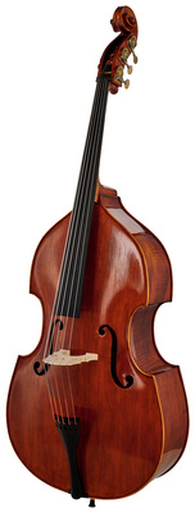 Scala Vilagio Double Bass Gamba 5-Str. IB