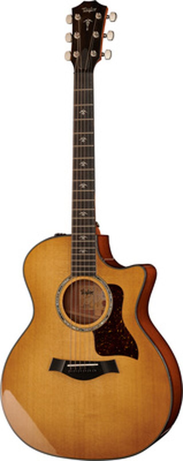 Taylor 514ce Urban Ironbark