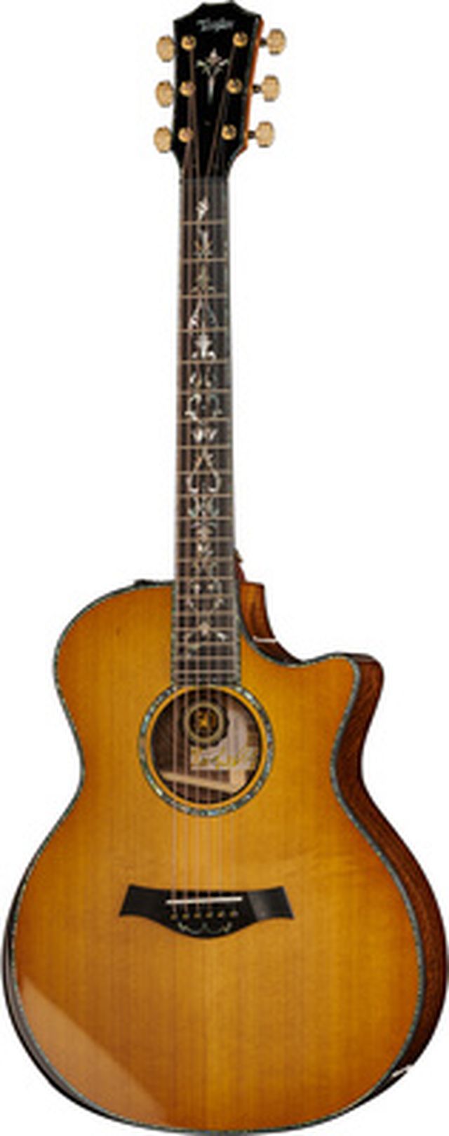 Taylor PS14ce & Circa 74 Amp 50th