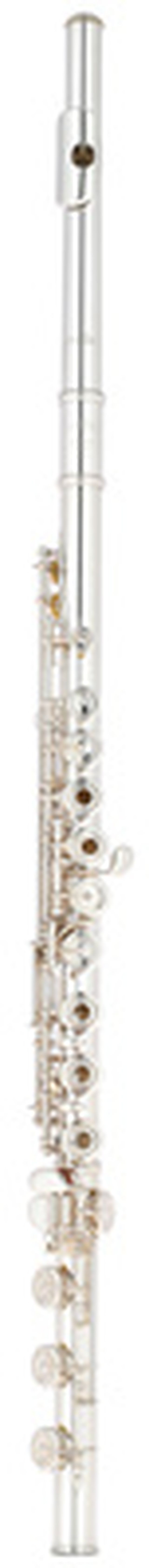 Altus AS-PSX RBE Flute