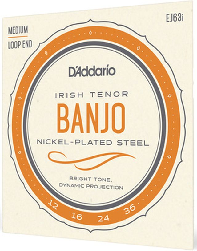 Daddario EJ63i Irish Tenor Banjo Set