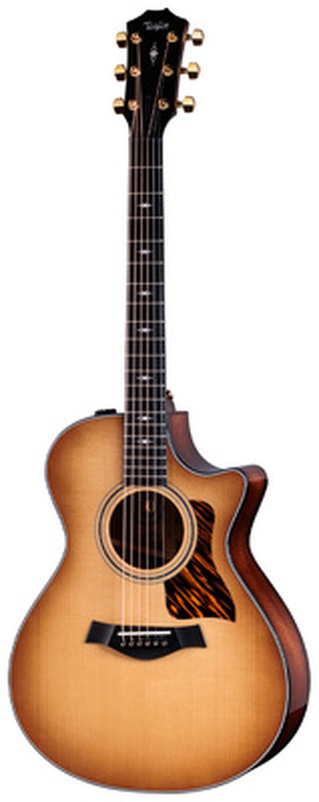 Taylor 312ce 50th Anniversary