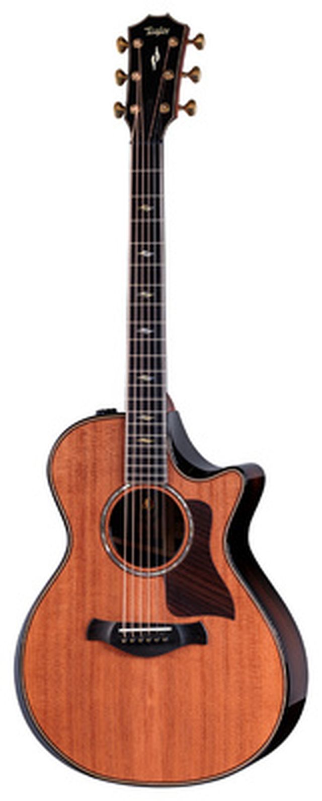 Taylor Builder's Edition 812ce LTD 50