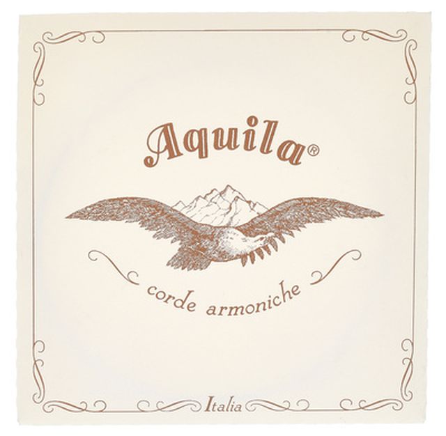 Aquila 104D140 Wound NG Lute String