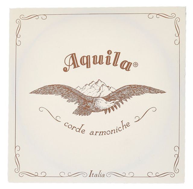 Aquila 108D140 Wound NG Lute String