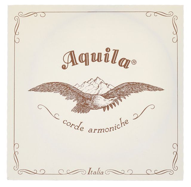 Aquila 120D140 Wound NG Lute String