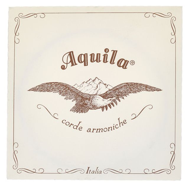 Aquila 145D140 Wound NG Lute String