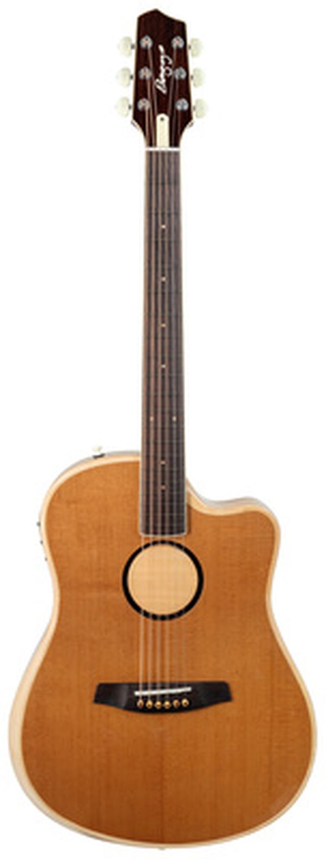 L.R.Baggs AEG 1 E- Acoustic E Natural