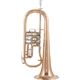 Cerveny CVFH 702R Flugelhorn B-Stock