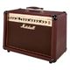 New in Acoustic Guitar Amps