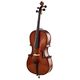 New in 1/4, 1/8, 1/10 and 1/16 Cellos