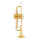 Kühnl & Hoyer Fantastic Bb-Trumpet 1 B-Stock May have slight traces of use