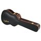 New in Guitar Cases and Bags
