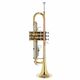 Startone STR-25 Bb-Trumpet B-Stock May have slight traces of use