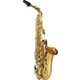 Rampone & Cazzani R1 Jazz Alto Sax AU B-Stock May have slight traces of use