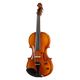 Thomann Europe Electric Violin B-Stock Poderá apresentar ligeiras marcas de uso.